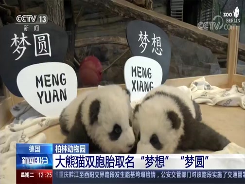 [新闻30分]德国 柏林动物园 大熊猫双胞胎取名“梦想”“梦圆”_CCTV节目官网-CCTV-13_央视网(cctv.com)