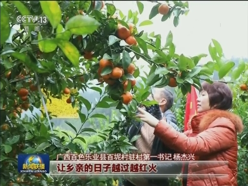 不負韶華,跑出新時代中國風采——習主席新年賀詞引發熱烈反響
