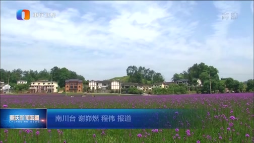 [重庆新闻联播]南川首次“云签约”引资128亿元