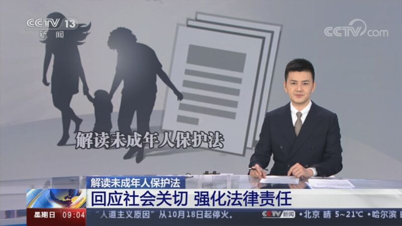 新修改的国旗法国徽法明年1月1日施行_cctv节目官网-cctv-13_央视网