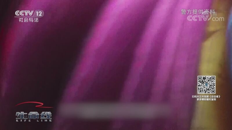 [生命线]男子无证驾驶遇查 高速上弃车逃逸_CCTV节目官网-CCTV-12_央视网(cctv.com)