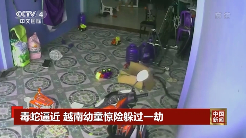 [中国新闻]毒蛇逼近 越南幼童惊险躲过一劫_CCTV节目官网-CCTV-4_央视网(cctv.com)