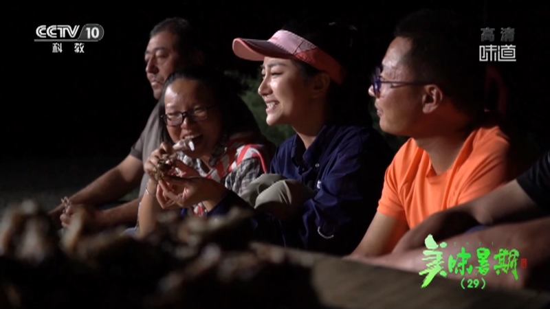 [味道]2021美味暑期（29） 不借助任何炊具烹制的羊肉——羊肚包肉_CCTV节目官网-CCTV-10_央视网(cctv.com)