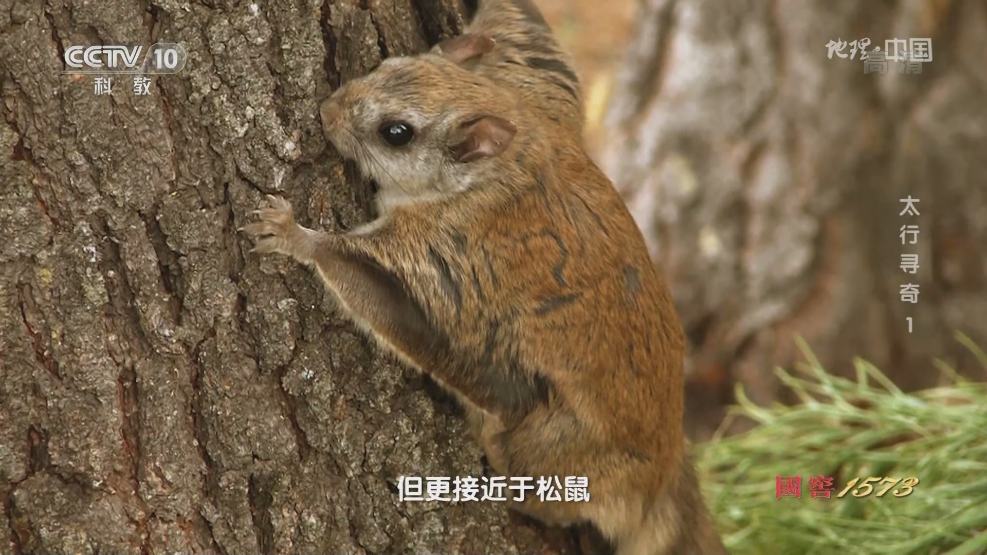 [地理·中国]飞狐陉在北三陉中生物资源最为丰富_CCTV节目官网-CCTV-10_央视网(cctv.com)