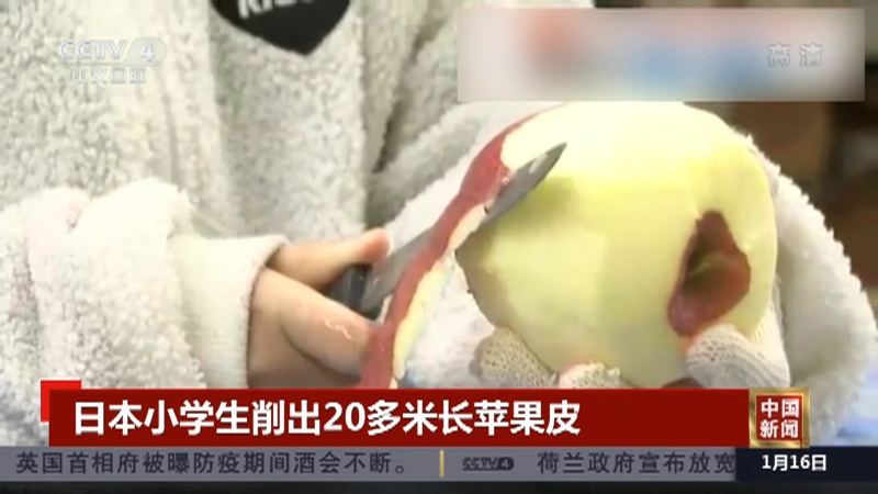 [中国新闻]日本小学生削出20多米长苹果皮_CCTV节目官网-CCTV-4_央视网(cctv.com)