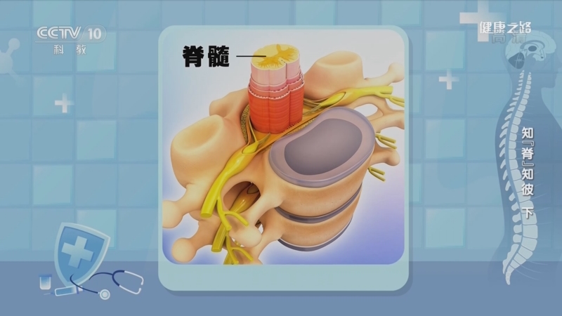[健康之路]知“脊”知彼（下） 按摩调理行不行？_CCTV节目官网-CCTV-10_央视网(cctv.com)