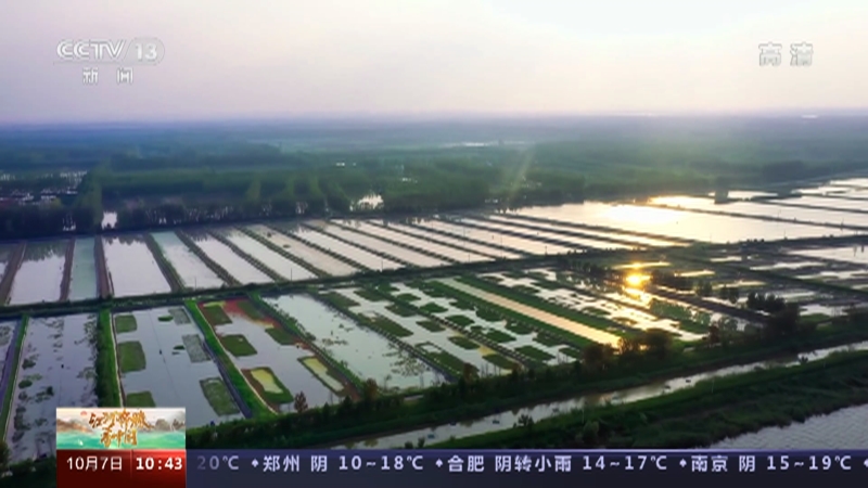 [江河奔腾看中国]山东济宁 江河奔腾看中国·京杭大运河 微山湖上好风光