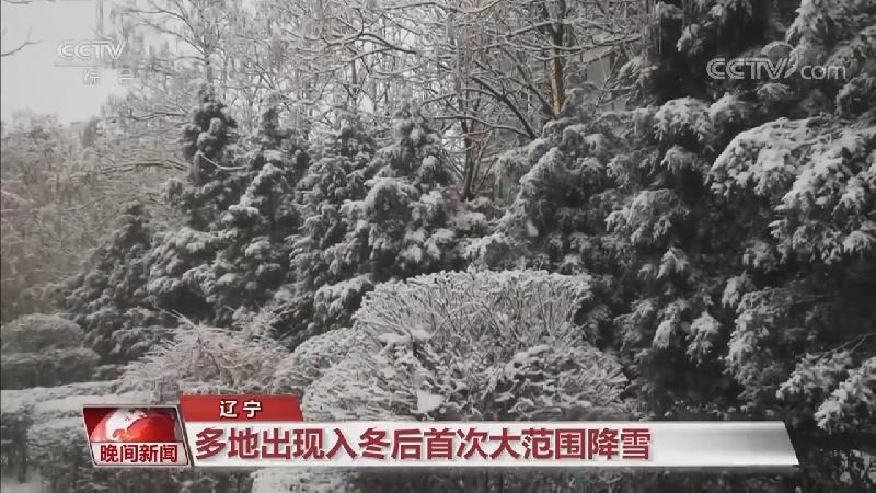 [视频]北方多地雨雪持续 东北局地大到暴雪