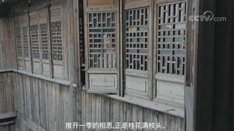 2022新鲜提案 手机大赛获奖作品：古镇黎里，乡愁流淌的江南