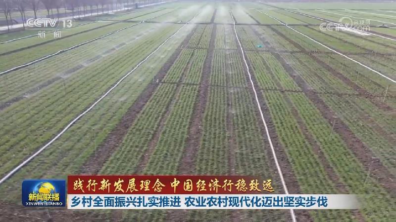 新闻联播 20251207 19:00图片