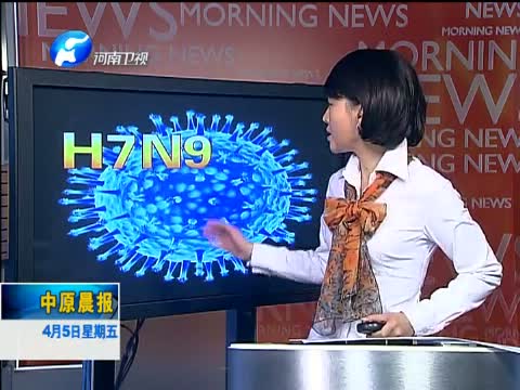 中原晨报,河南卫视《中原晨报》,在线观看,内容