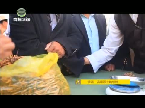 《时尚旅游》 20150303 青海——高原厚土的馈赠