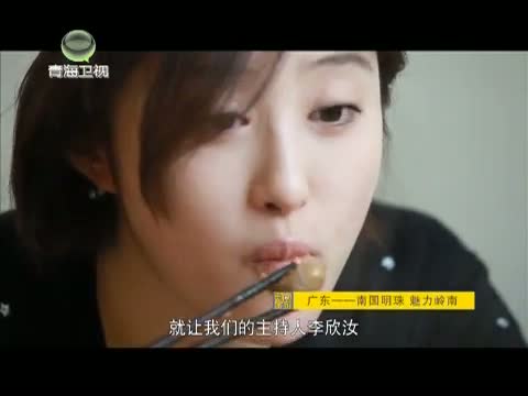 《时尚旅游》 20150324 广东——南国明珠 魅力岭南