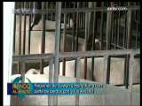 MUNDO AL MINUTO 2009-11-06 07：00