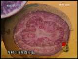 [ÿ��ũ��]���������ж�֮����������(7)�����ġ�������(2009.11.10)