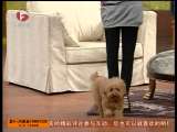 �ǳ������룺�Ը��崿��˼��
