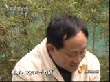 [视频]唐文荣:我把“金鼠”请回家