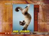 [��Ƶ]���桰�٤è�������������ŷ��