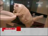 [�Ұ�����]����ѵ��Ӫ(2009.11.15)