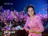 [�л���]�ŵ��黳ϵ�н�Ŀ ʫ���һ���2010.04.17��