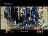 [�л���]�л��顤�ŵ��黳ϵ�н�Ŀ ʫ�ⴺ�㣨2010.05.02��
