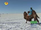 ıļ