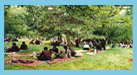 Visiting Norbu Linka<img src=/Library/english2008/english/image/video.gif /> 