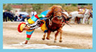 Horse Race <img src=/Library/english2008/english/image/video.gif /> 