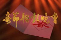 1995�꣬95�괺���������ע������ЧӦ��������Ӱ�ӽ���������֮�⣬��ע���Ƴ����������������������Ա�ԡ�����ϡ�����ʽ�����ղ�ͬ��񣬰Ѽ��׸������һ�𣬴���ǿ�˸������ܶȺͽ��ࡣСƷ����˰�װ���й����ָ������ؽ��а�װ���������������̵�ӡ��<br>------------------------------------------ 
