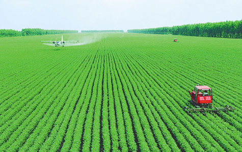 聚焦农业部:十一五我国农业发展成就
