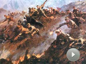 <strong><center>��¼Ƭ���ϸ���</center></strong>