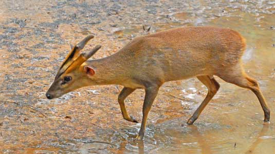 CCTV7栏目_三农_央视网(cctv.com)