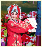 ���硶��Ϊý��