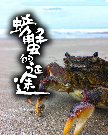 央视网_世界就在眼前