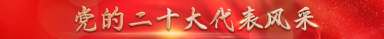 党的二十大代表风采