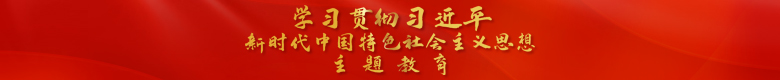 学习贯彻习近平新时代中国特色社会主义思想主题教育 学习贯彻习近平新时代中国特色社会主义思想主题教育