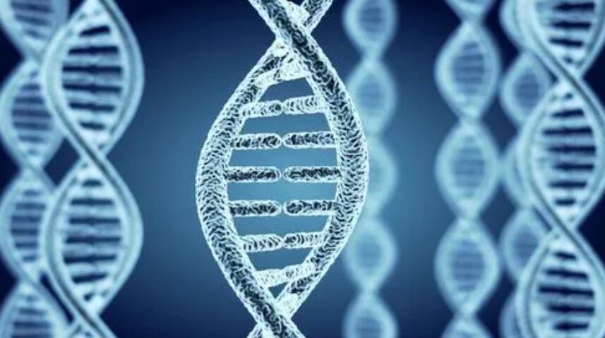 新研究挑战DNA随机突变进化理论