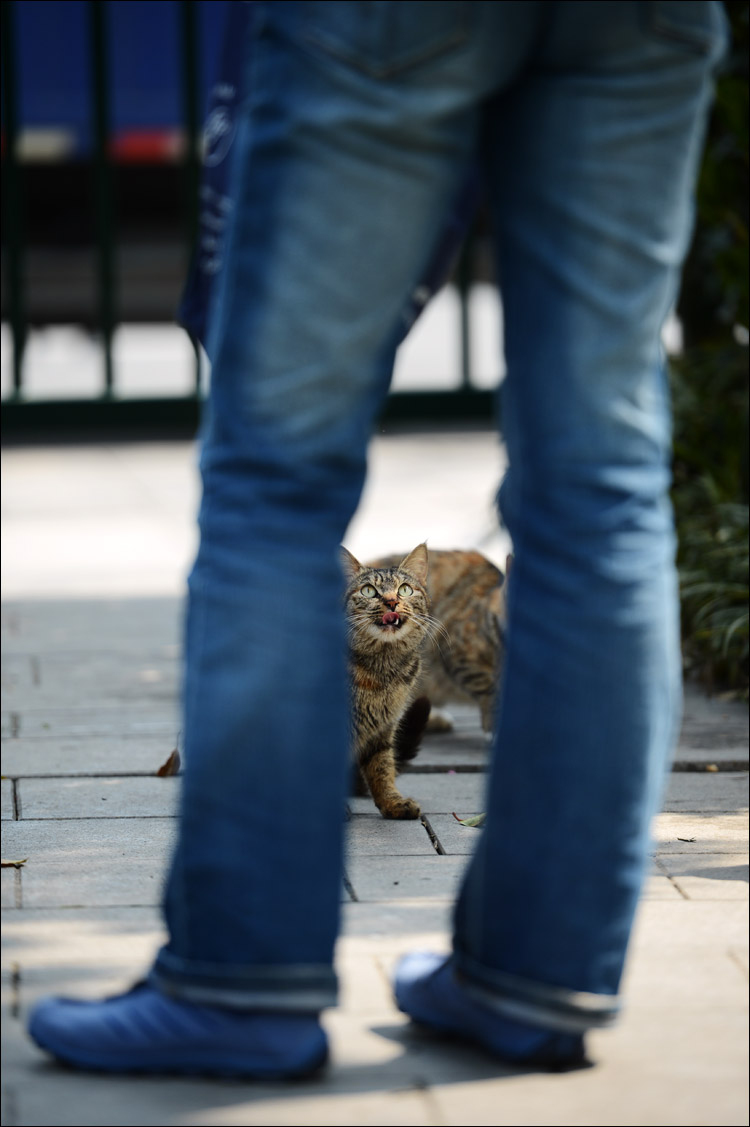 FX全幅升华 尼康旗舰单反D4深度评测_IT台