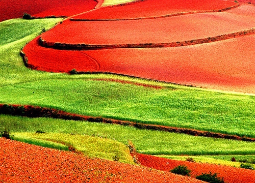 东川红土地 色彩斑斓的梦幻彩虹世界_电子商务资讯平台_央视网