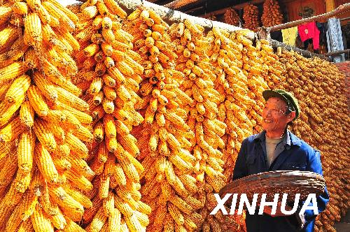 中共中央 国务院关于2009年促进农业稳定发展