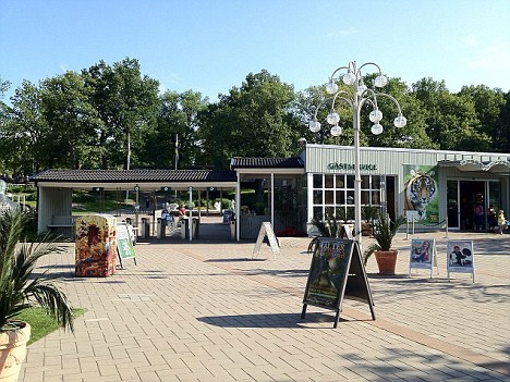 瑞典帕肯动物园资料图