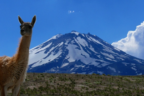 在阿根廷看图蓬加托火山