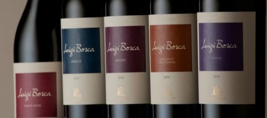 在阿根廷看图蓬加托火山