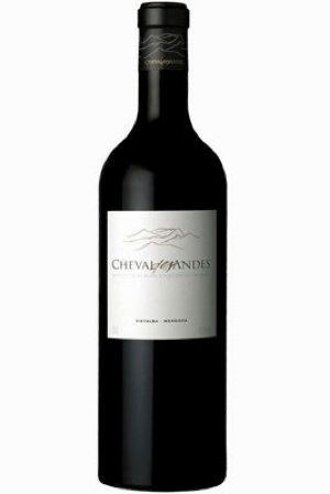 在阿根廷看图蓬加托火山