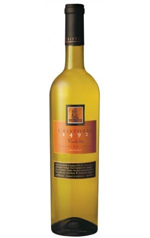 在阿根廷看图蓬加托火山