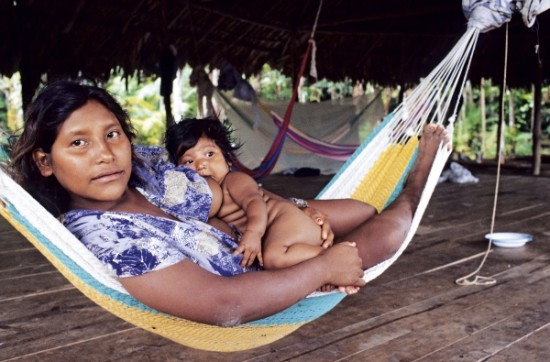 居住在委内瑞拉奥里诺科三角洲沿岸的瓦劳部落印第安人(摄于2007年)