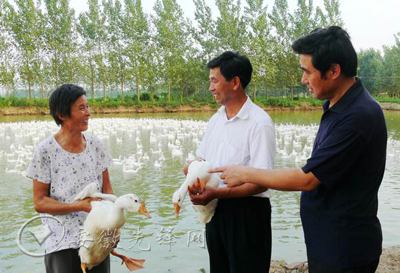 马厂镇,大墅镇,古河镇各一名45岁左右村书记到襄河镇,十字镇挂职锻炼