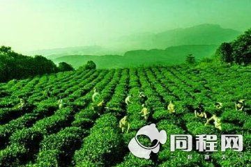 五一节成都周边游特色推荐_旅游台_央视网