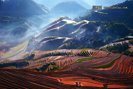  诗意紫鹊界，绵延二千年的秦人梯田 作者：佚名