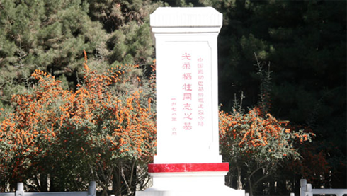 中国烈士陵园石碑